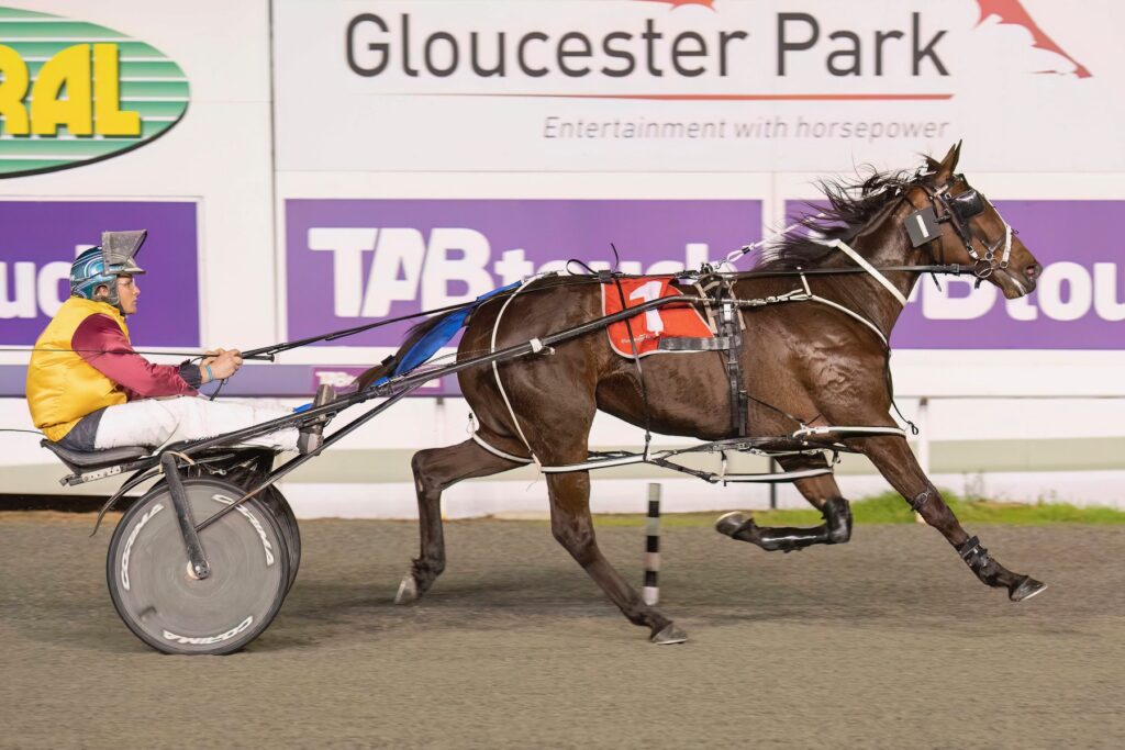 Trent’s Tips – Gloucester Park Preview 23rd January