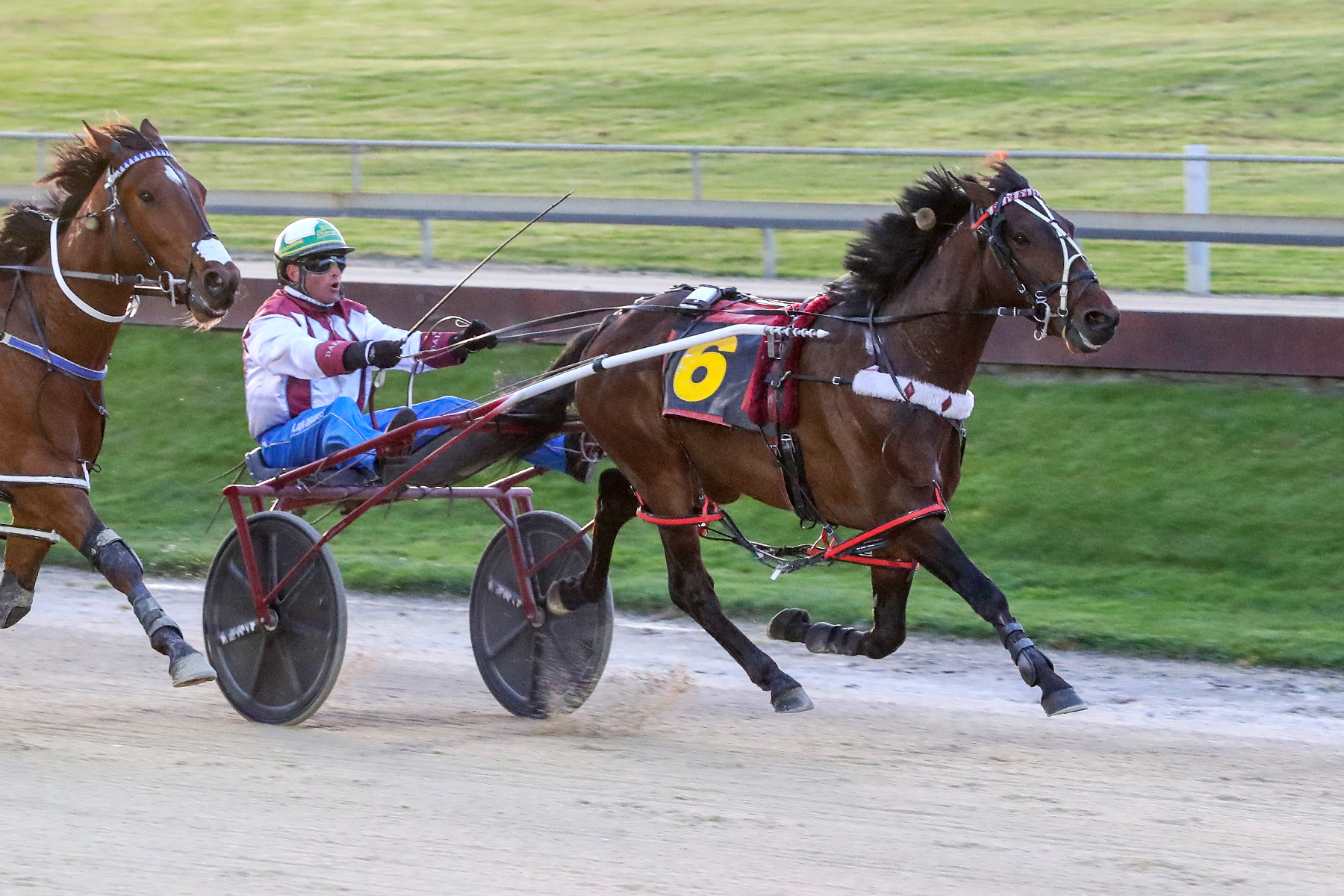 Top fields gathered for Ashburton Flying Stakes day