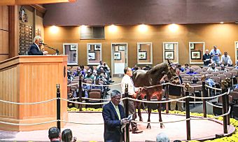 $4.36 million in turnover on Day 4 at Lexington sale