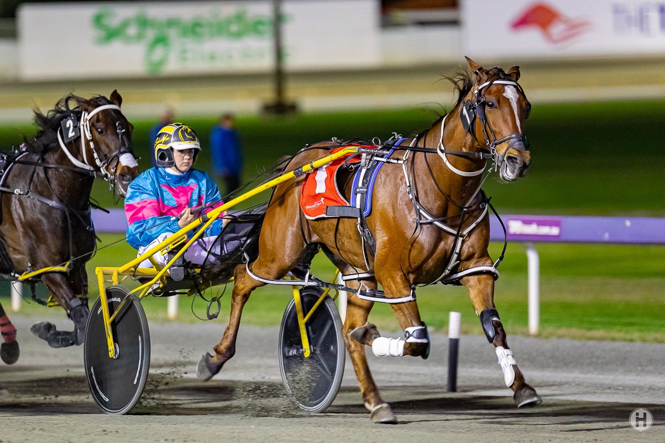 Jaspervellabeach poised for win 19