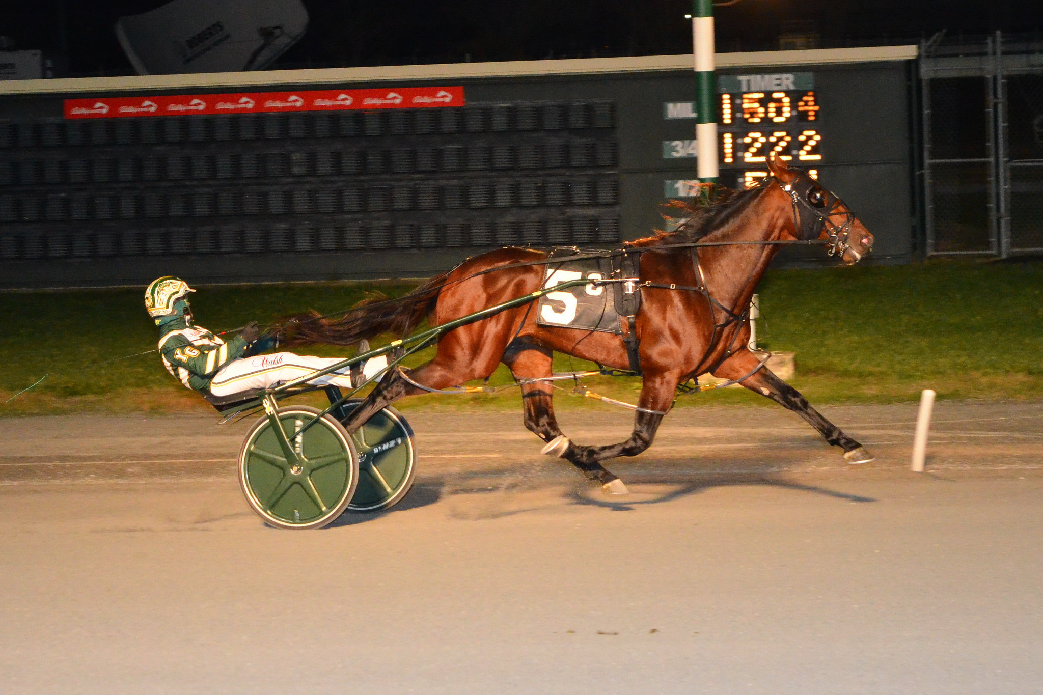 Beach Glass’s first foals appearing this Spring 