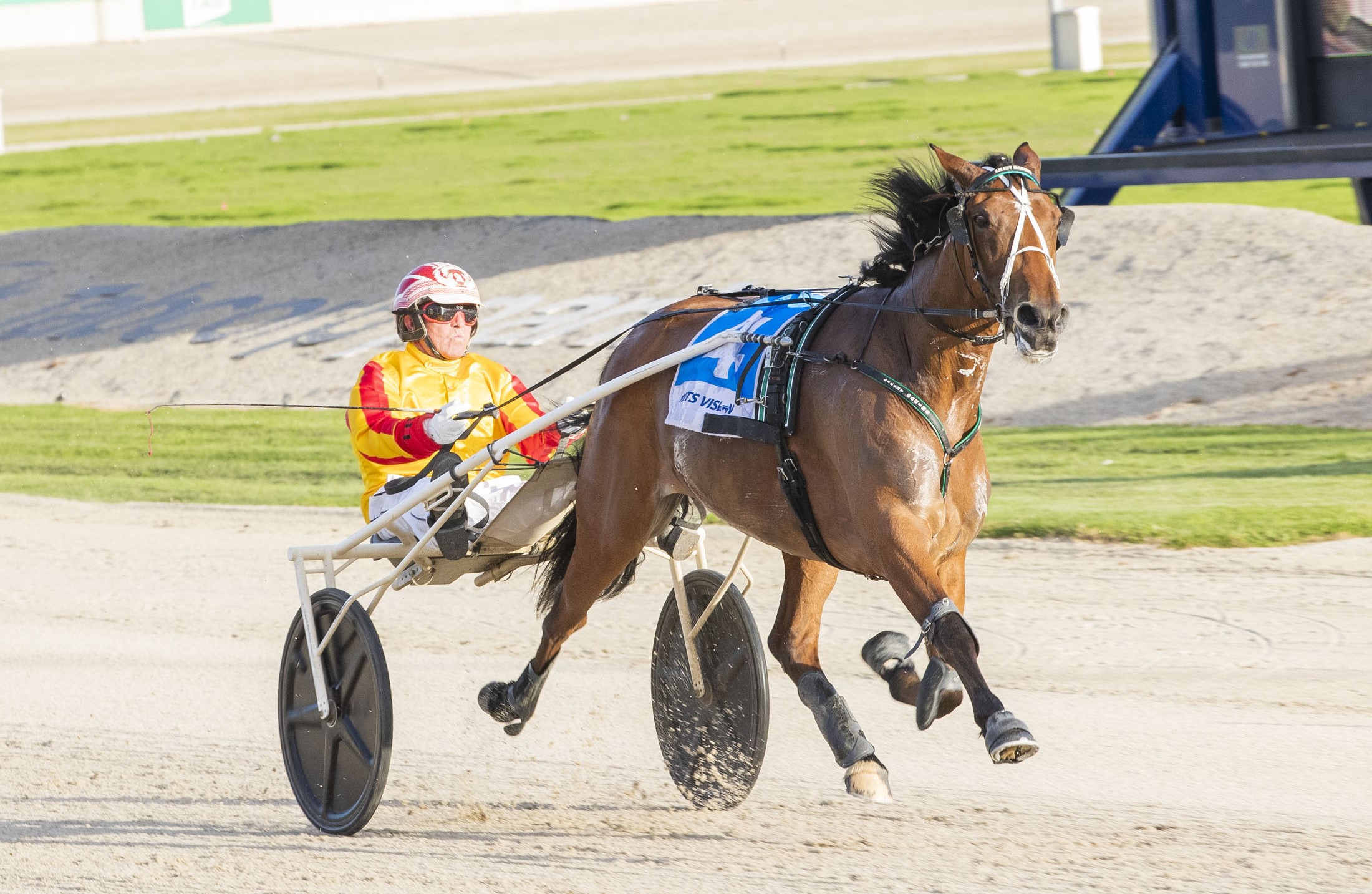 The Queen set for farewell tour in New Zealand