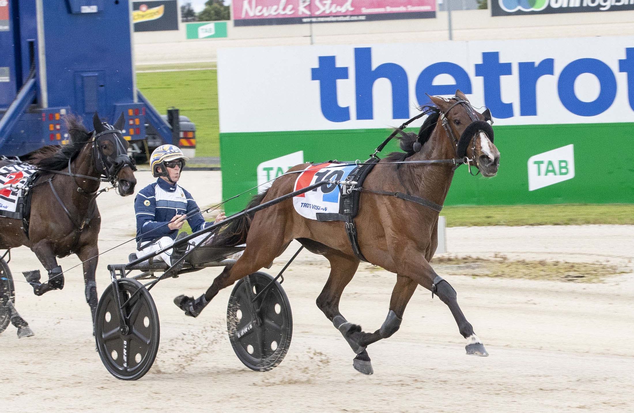 Susan Is Her Name set for return to racing