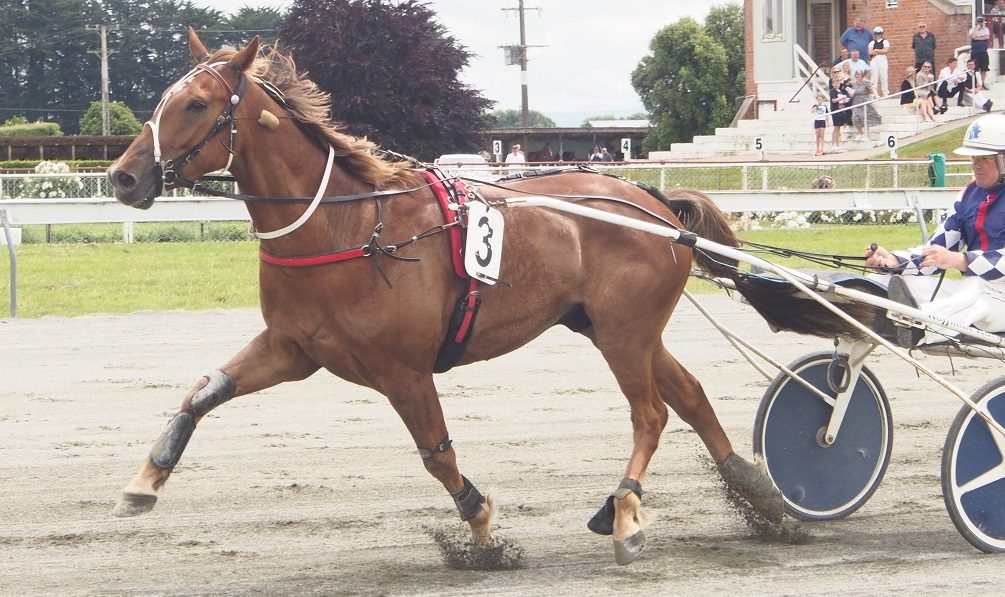 Nairn to debut a new acquisition