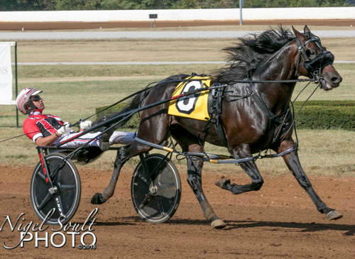 Four greats elected to Living Horse Hall of Fame