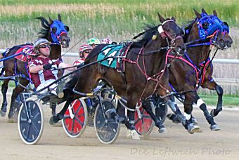 Arnold Pace, Sire Stakes at Cal Expo