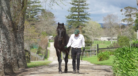 Woodlands Stud – The pinnacle of excellence in breeding and racing