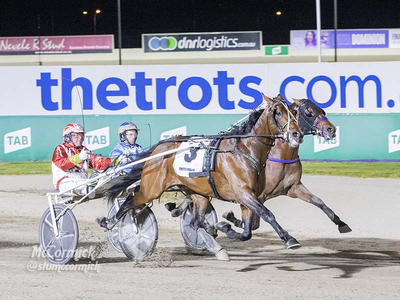 Star trotter Aldebaran Zeus to retire to stud