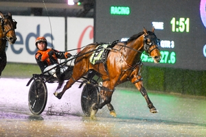 Morris launching a two-pronged attack on Redcliffe Gold Cup