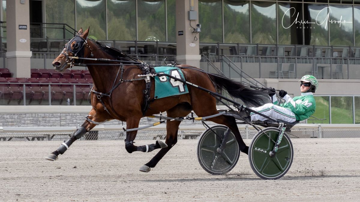 Dilloian duo all set for Matchmaker