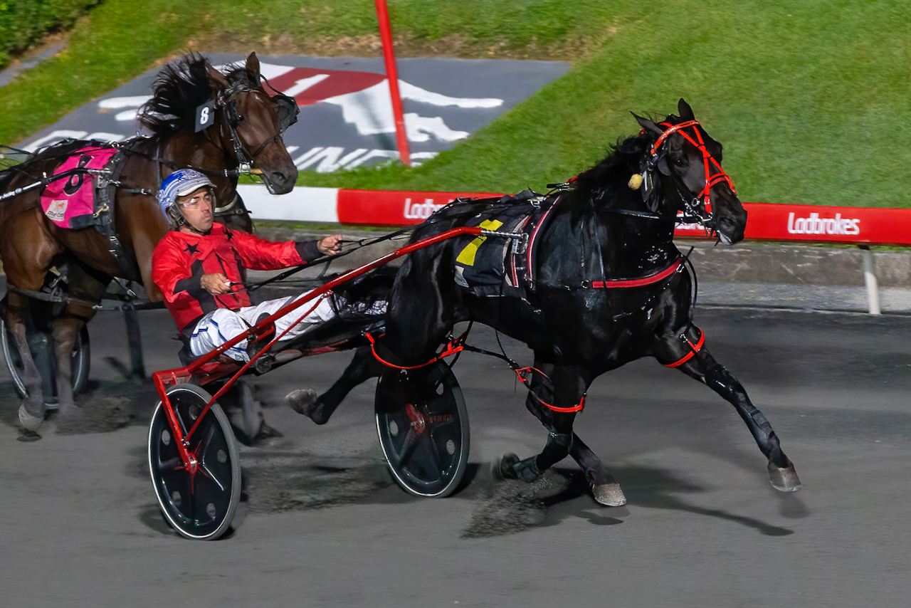 Shannon looks to avoid Fame