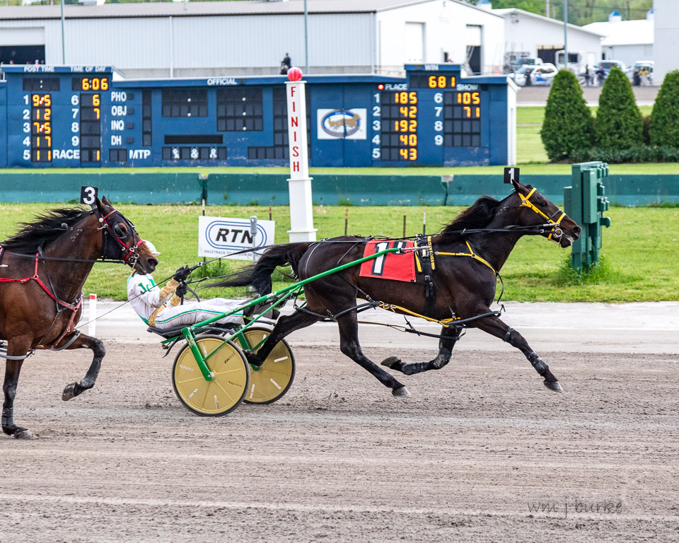 Journeyman stallion wins first race since 2023