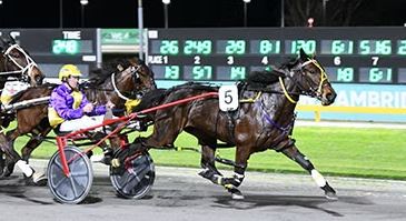 Margherita heads to Manawatu in fine form