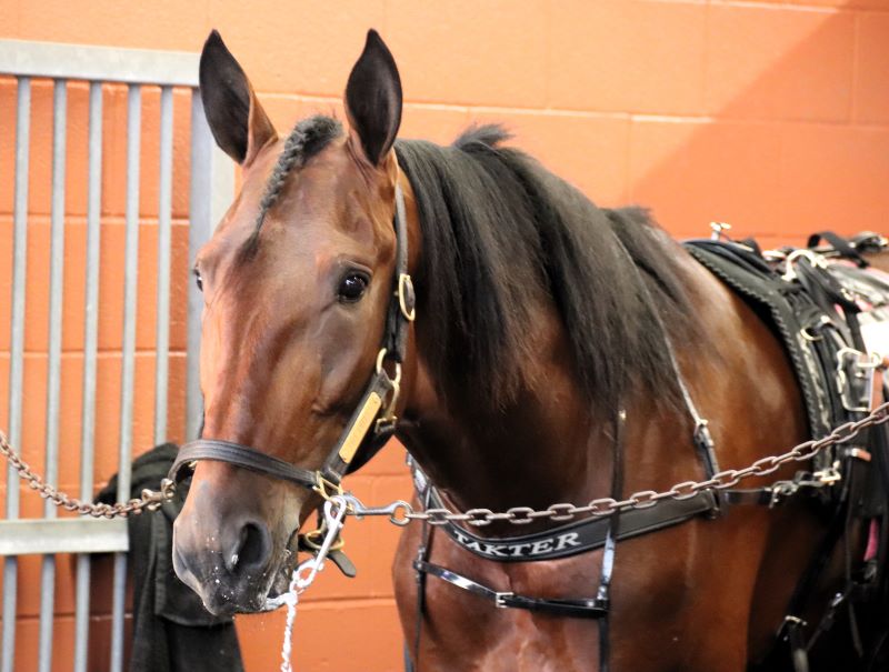 East Coast domination continues for Save America