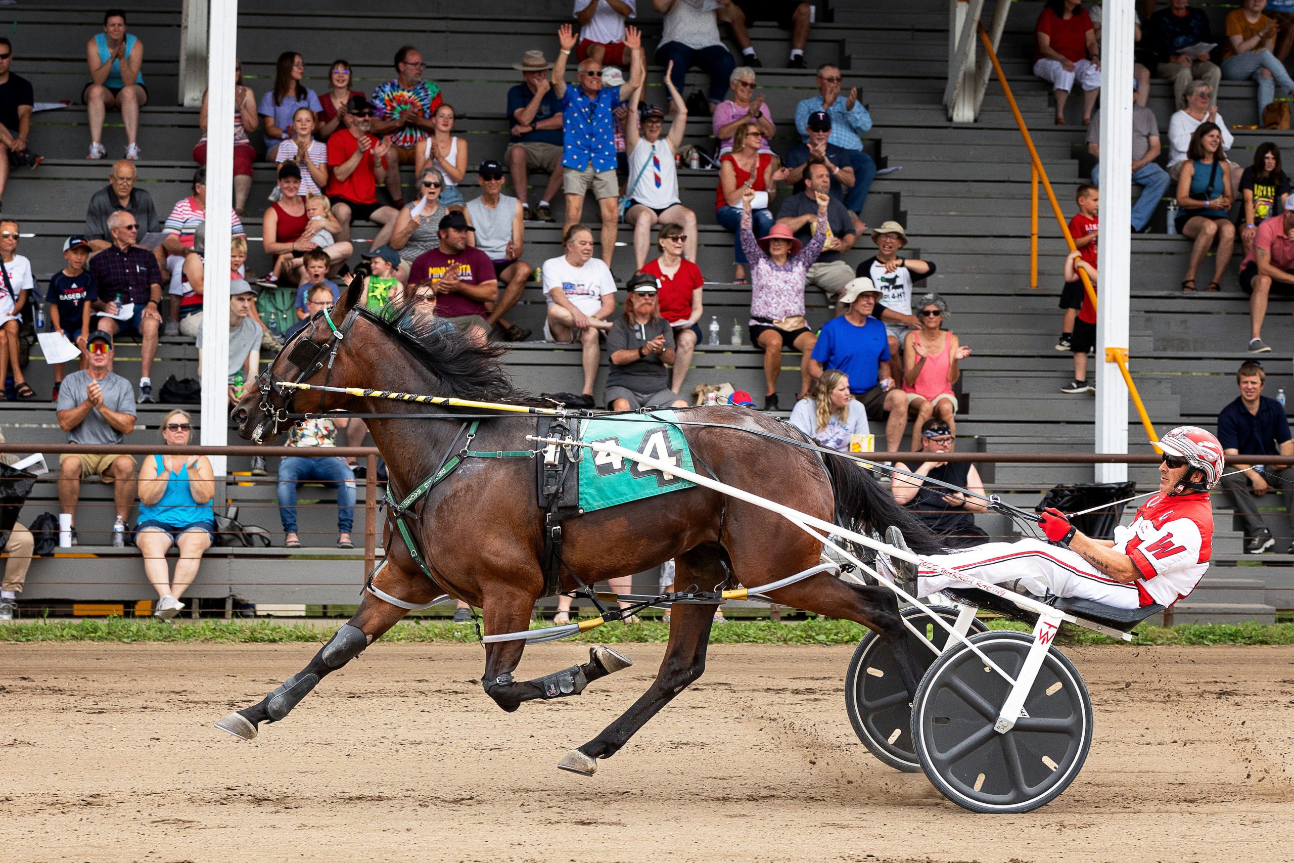Mares vs. males in Cal Expo feature