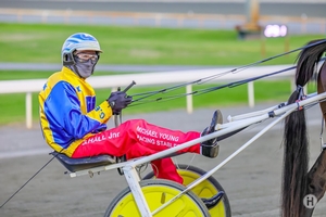 Hall Jnr Sticks with D Mac in Golden Slipper