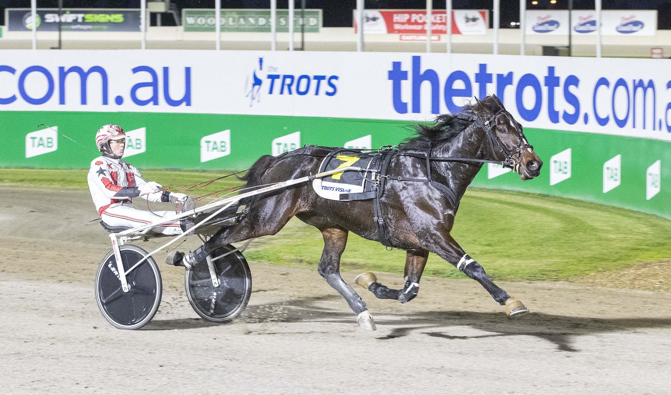 Arcee Phoenix wins second Maori Mile