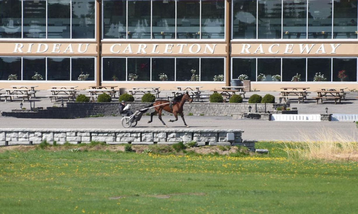 Rideau Carleton cards special U.S. Thanksgiving matinee