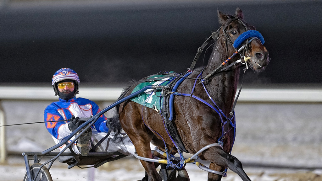 Shark Week reaches 50 career wins