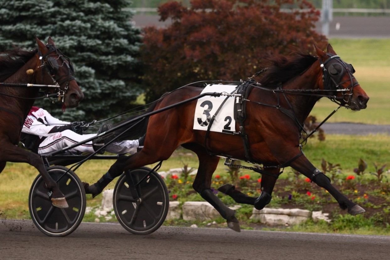 Baroness Hill sells for $326,000
