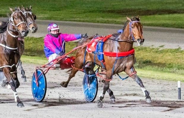 Wide draw will not faze Bulletproof Boy