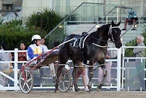 Bettor’s Delight mare suited to the longer distance