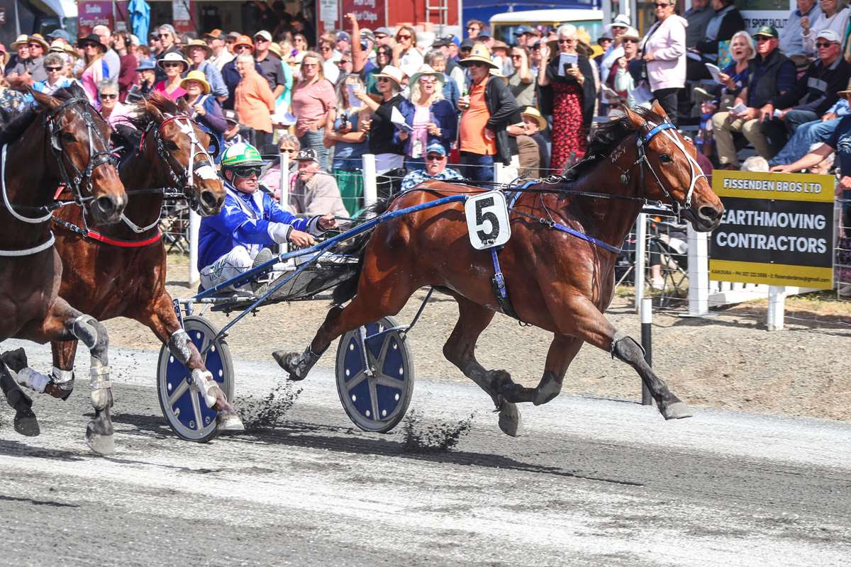 Village Mystic has sired the winners of over $40 million