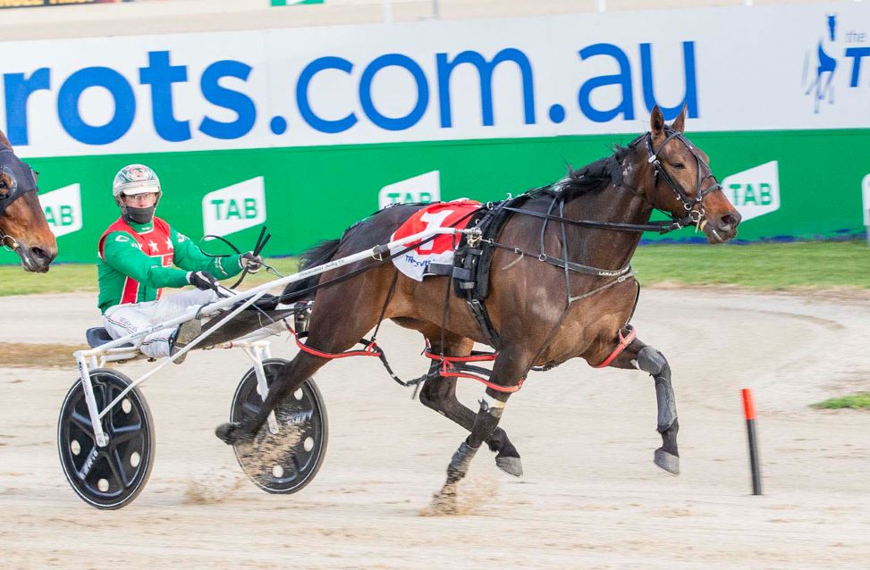 Tubbs confirms Inter Dominion plan with star mare