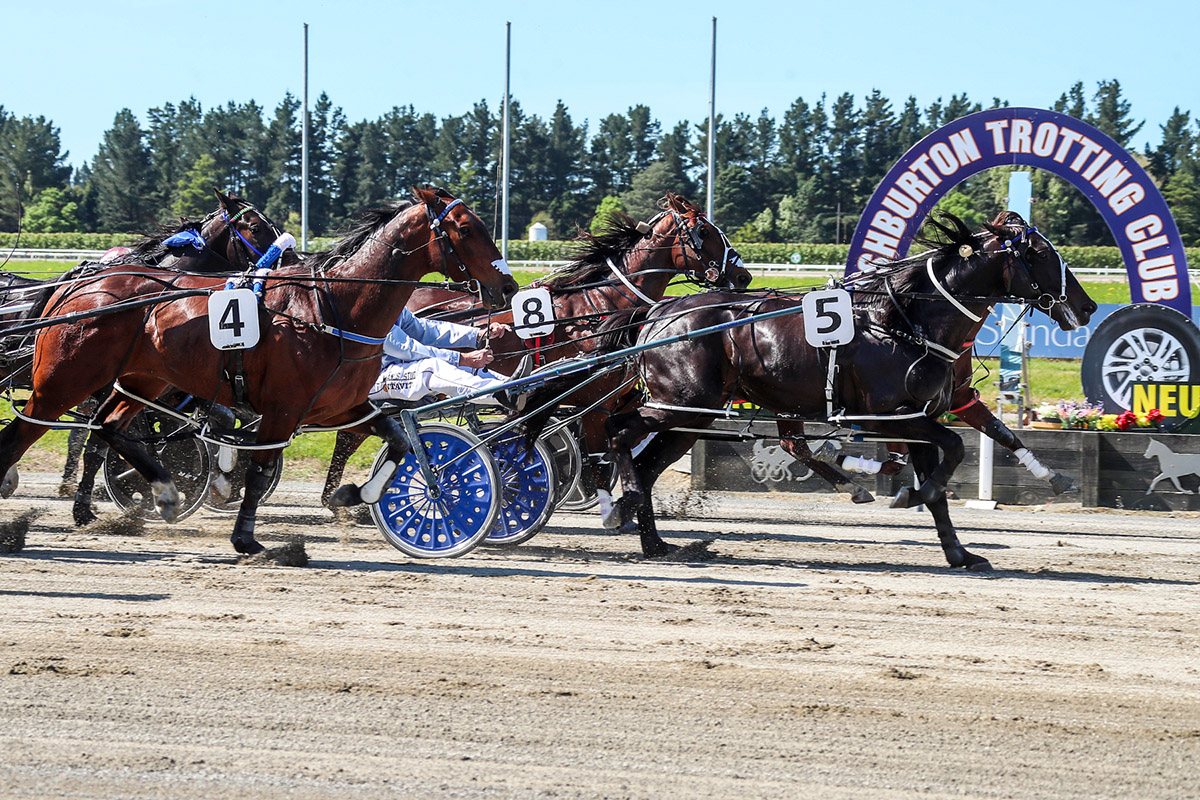 Sooner The Bettor hard to beat in race track return