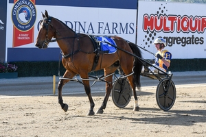 Swayzee wears NSW Horse of the Year crown again!