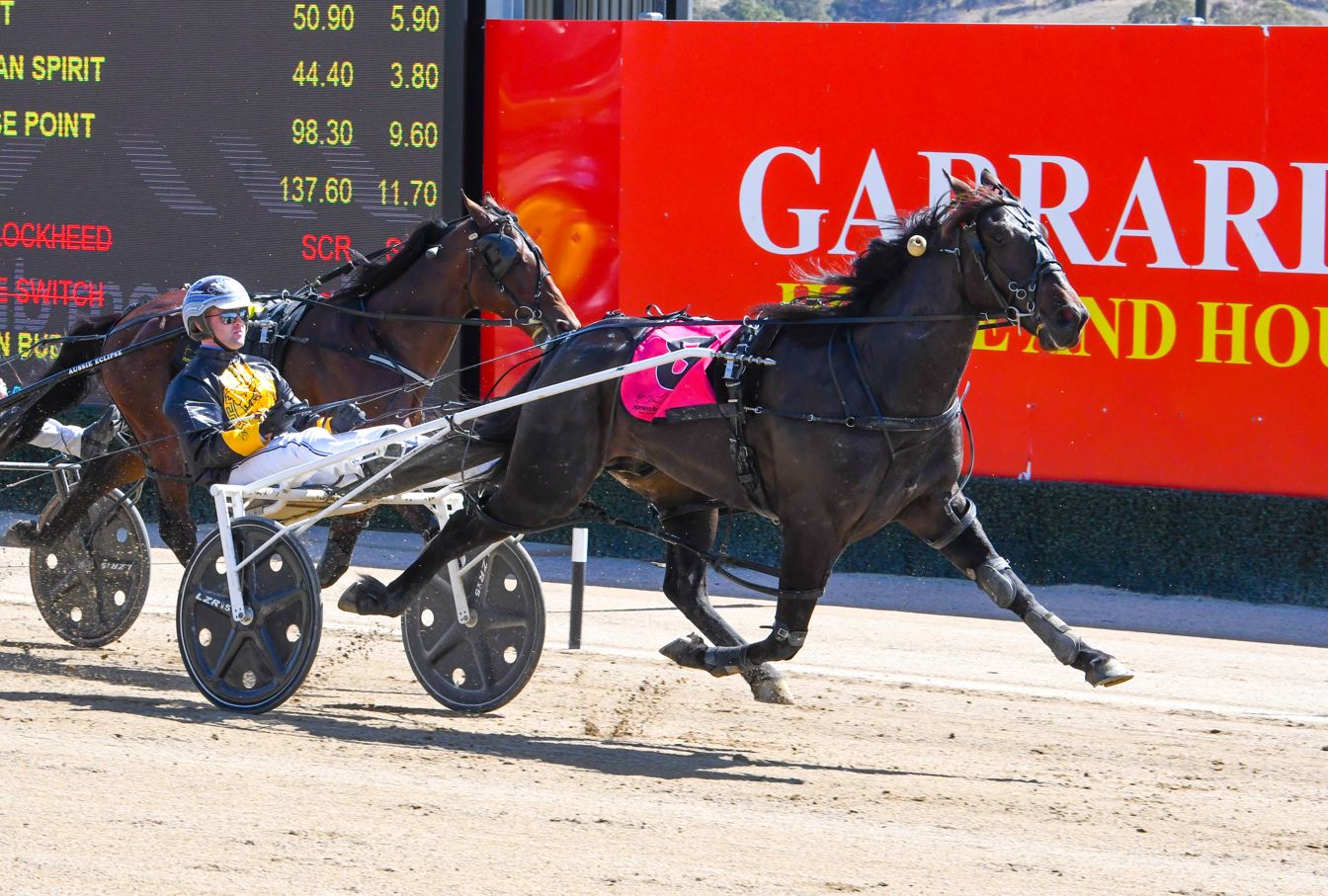 Lazarus gelding draws to lead and rebound