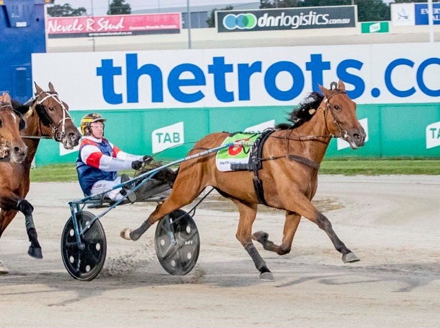 More slot runners confirmed for The Race by betcha and TAB Trot