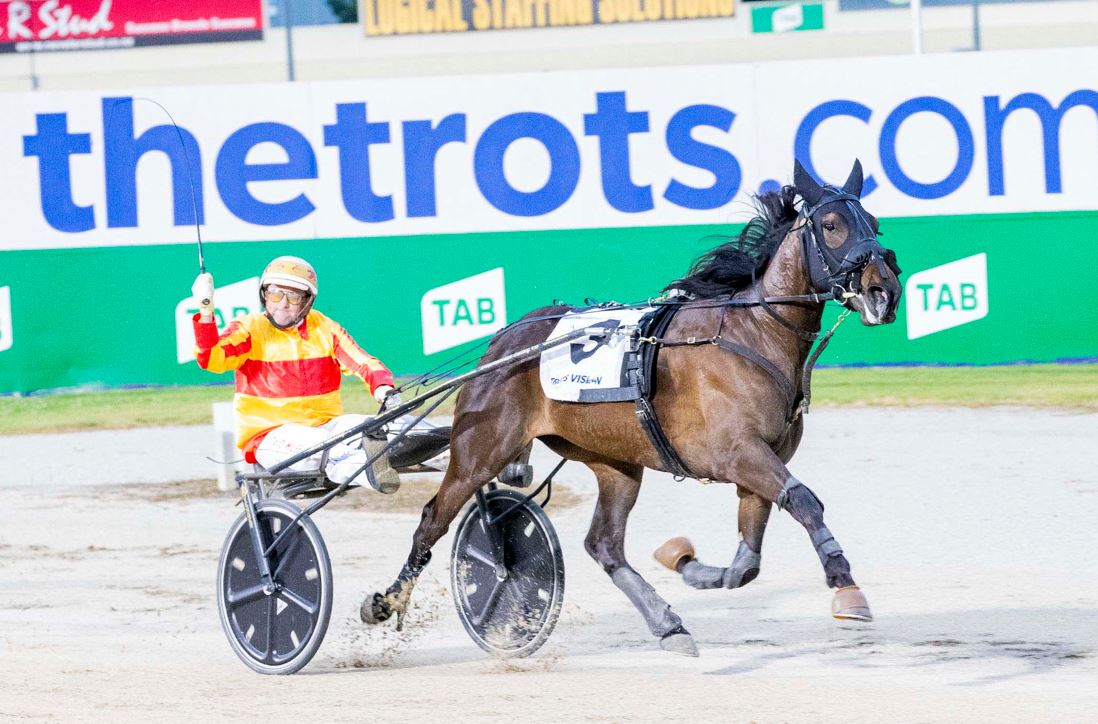 Rockinwithattitude targets Cranbourne Trotters Cup