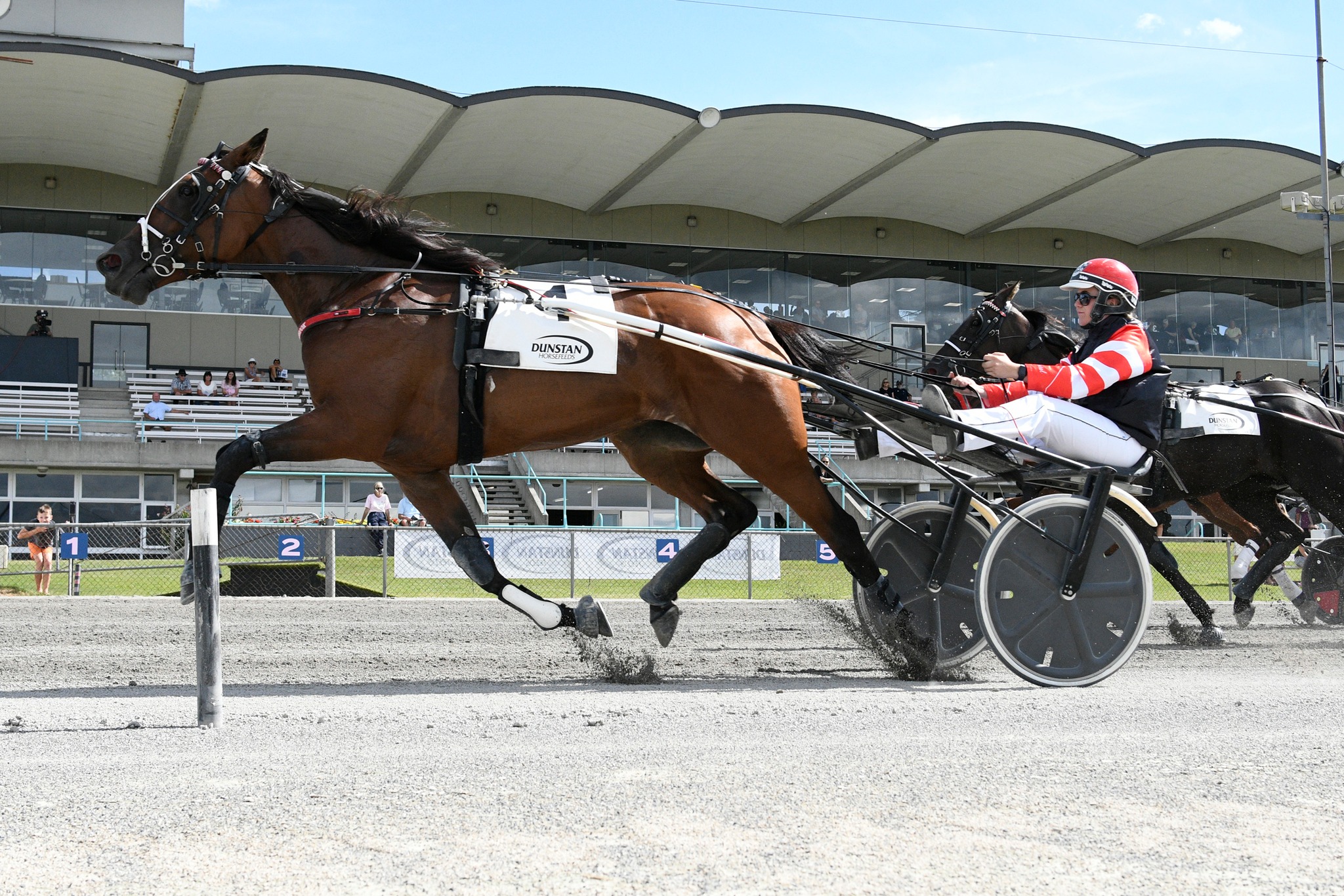 Faith In Manchester claims second Breeders Stakes