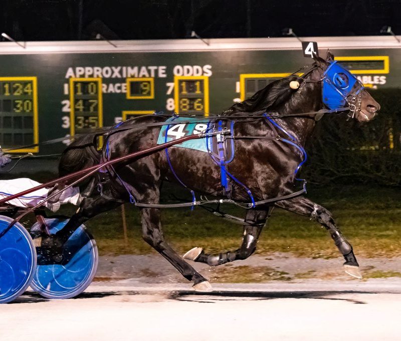 Barrieau and Twin B Tuffenuff wire the field