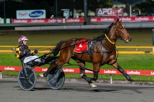 Frankie Ferocious primed for Sunshine Sprint revival