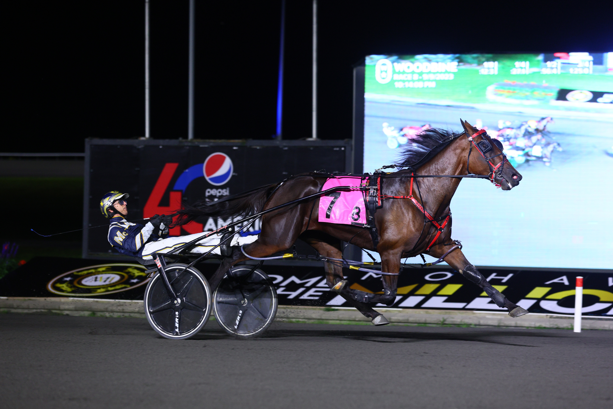 Sylvia Hanover to race at five