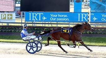 Wish Me Luck hard to beat in Ashburton Cup