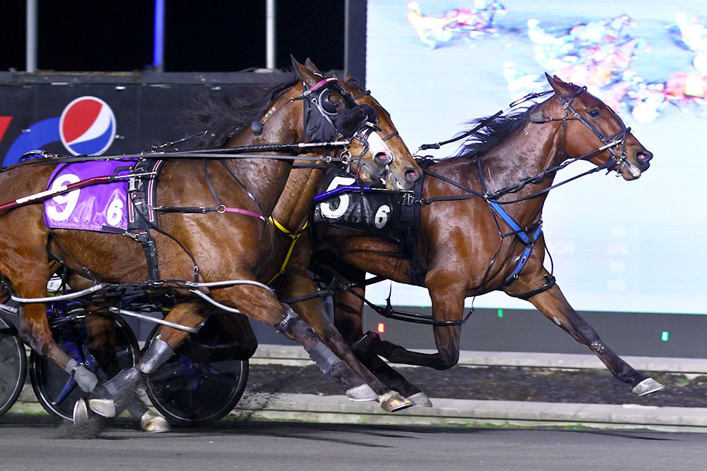 Draws complete for Camluck Classic and Forest City Pace