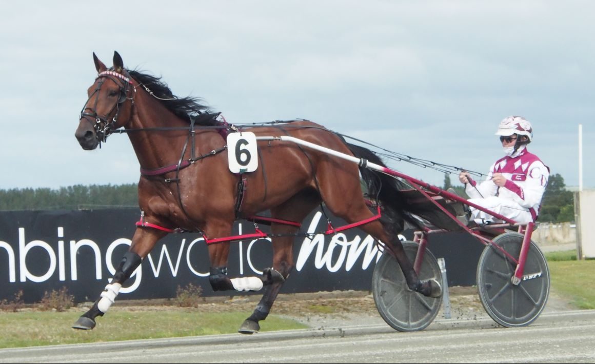 Talented Captaintreacherous mare returns to feature racing