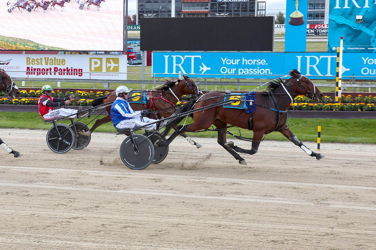 Big handicap to overcome for Pinseeker