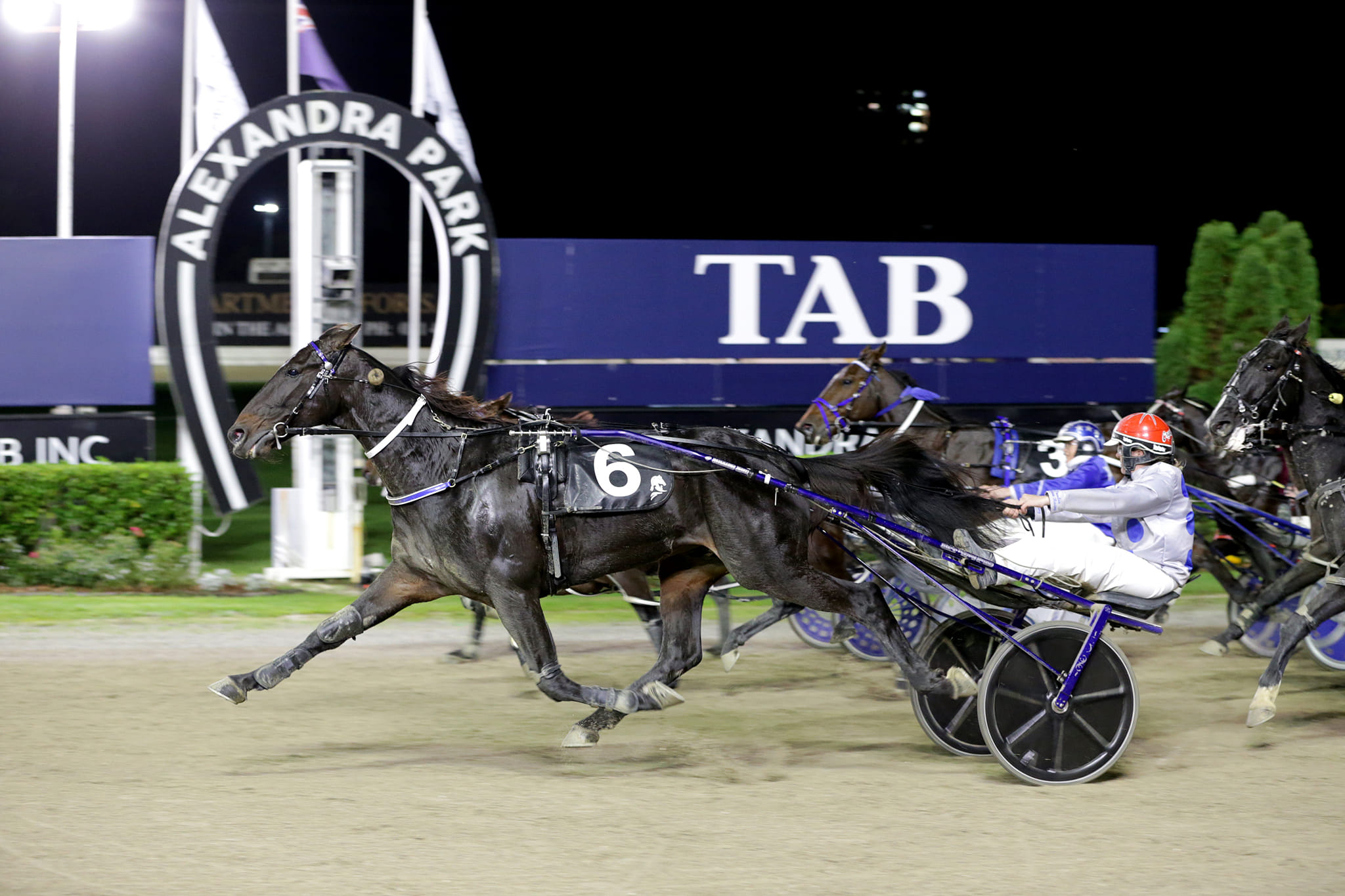 Mach Shard enjoying retirement