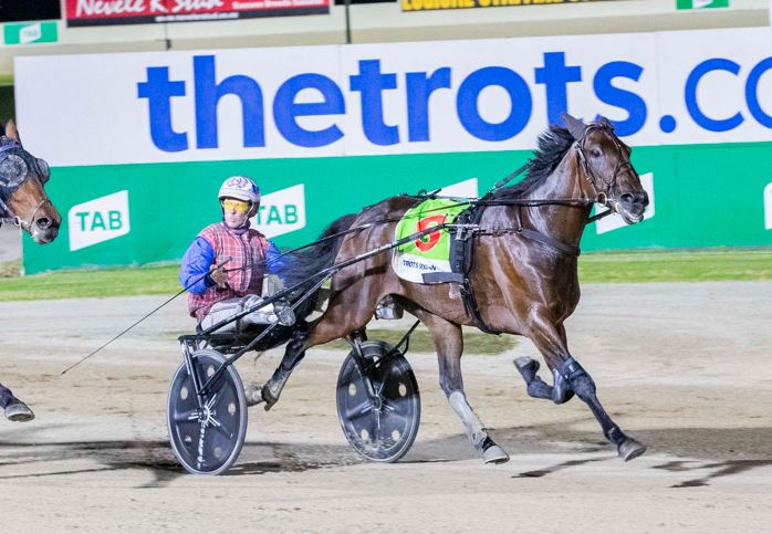 Undefeated Volstead trotter lines up this weekend