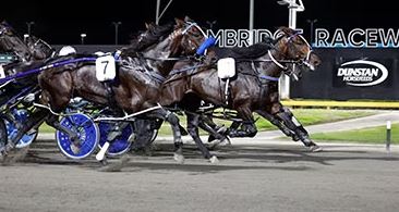 Kiwis to launch late in $1m The Race by betcha
