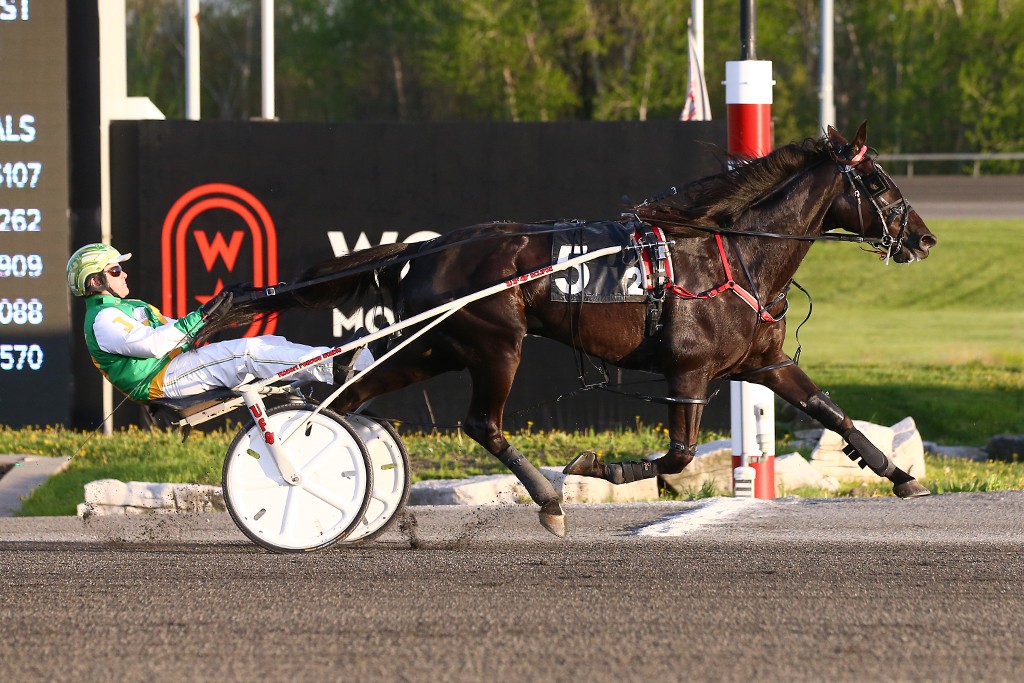Canadian trotter ready for Elitloppet 2025