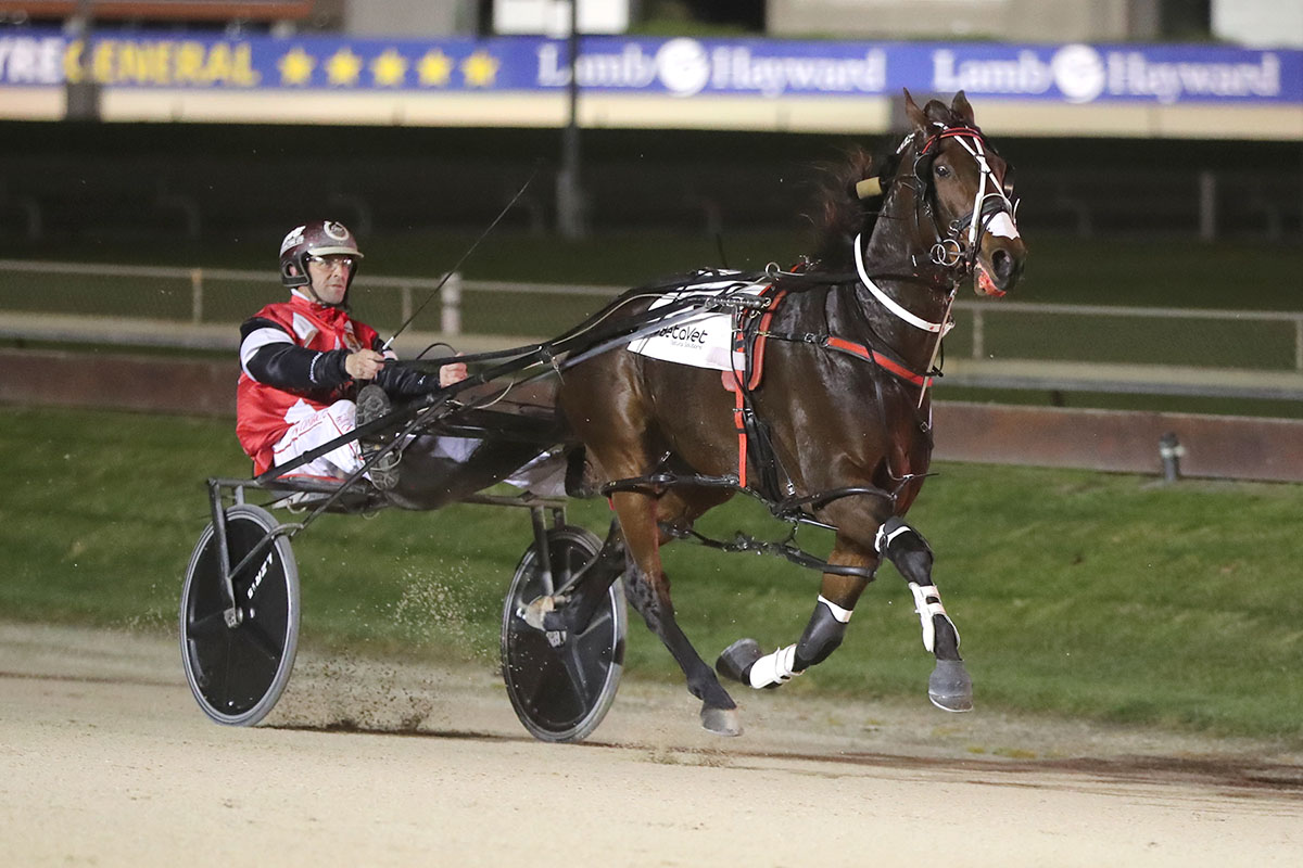 Diamond Racing has some good chances tonight