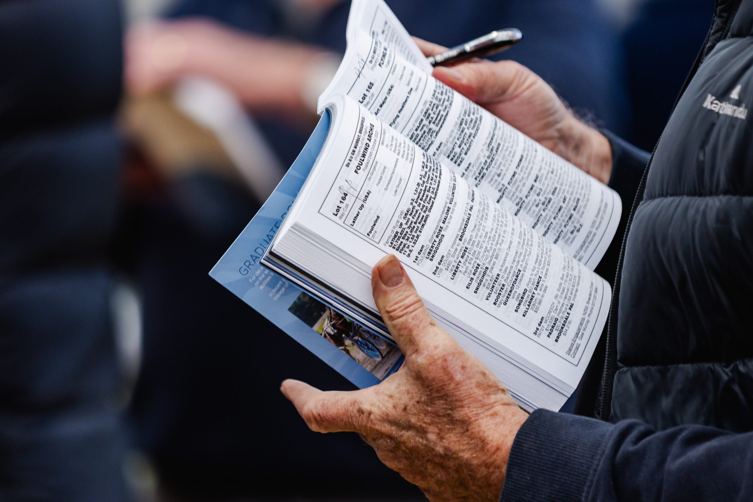 2025 National Yearling Sale in Christchurch 2025 has concluded