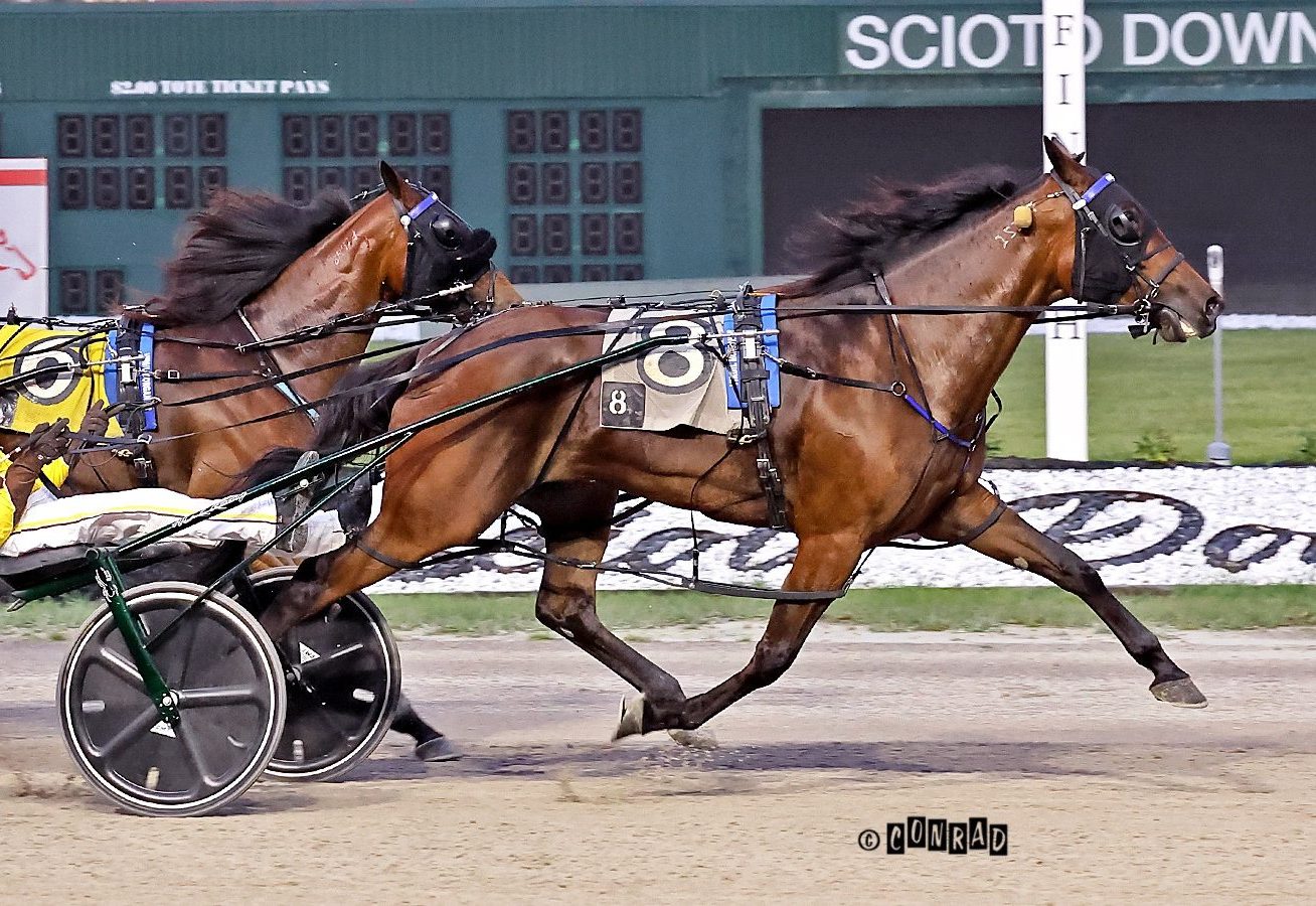 Qualifiers give a look into the future