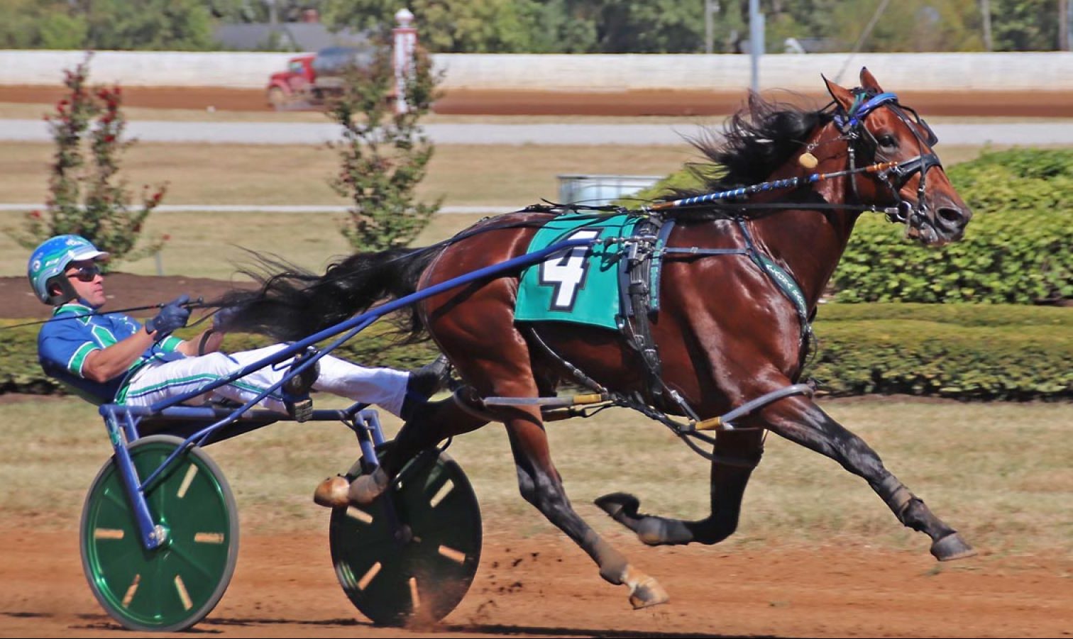 Capt Midnight opens his sires winning account