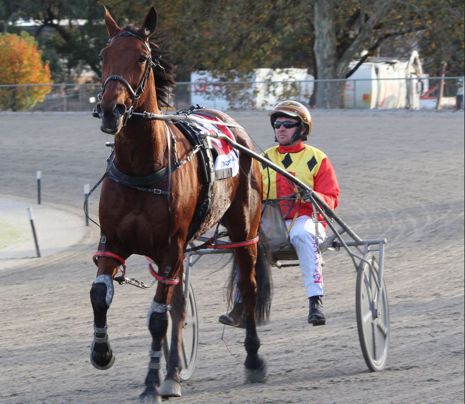 Keayang Tokyo heads Lee stable’s big Saturday